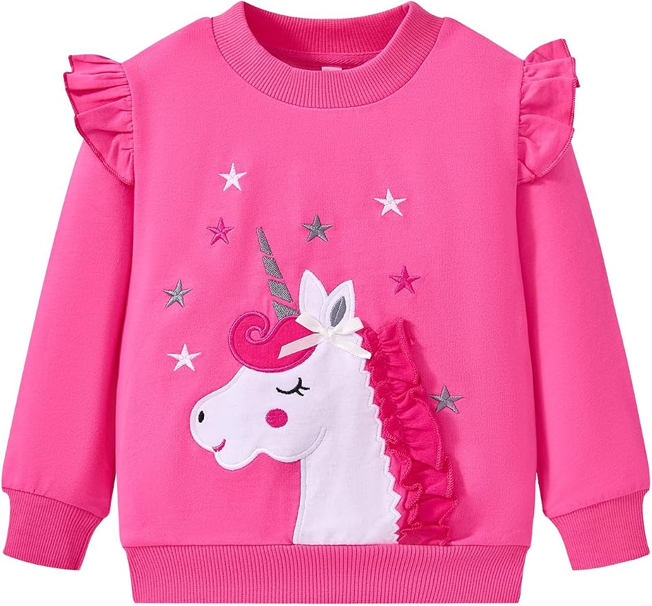 Toddler Baby Girls Cotton Sweater, Long Sleeve Crewneck Sweatshirt Pullover by Unknown