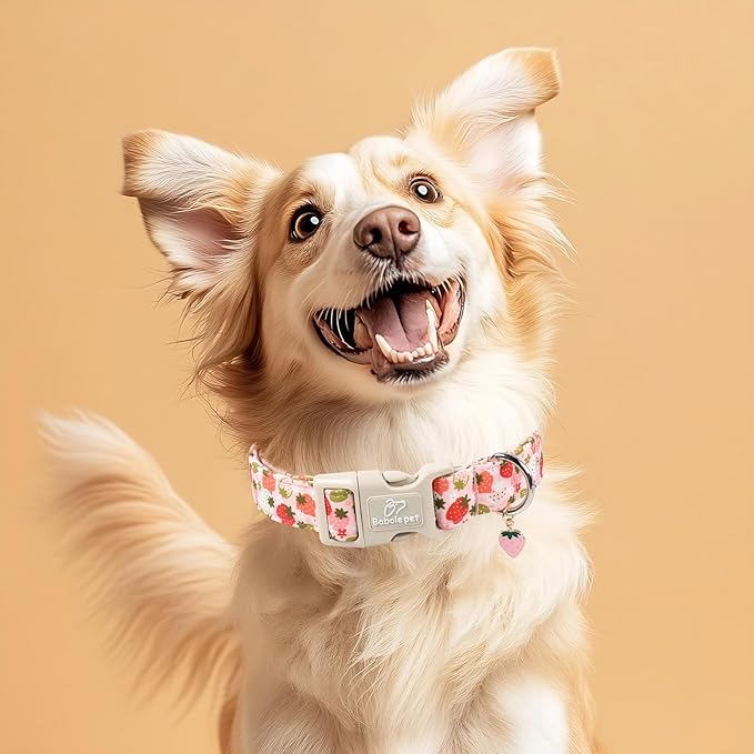 Strawberry Dog Collar for Large Dogs - Image 2