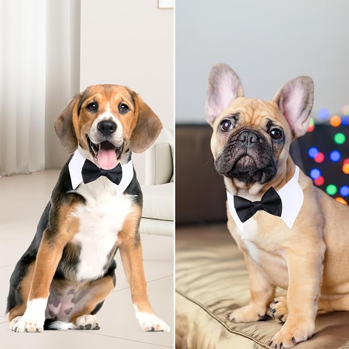 Segarty Black Bow Tie Dog Collar - Image 5