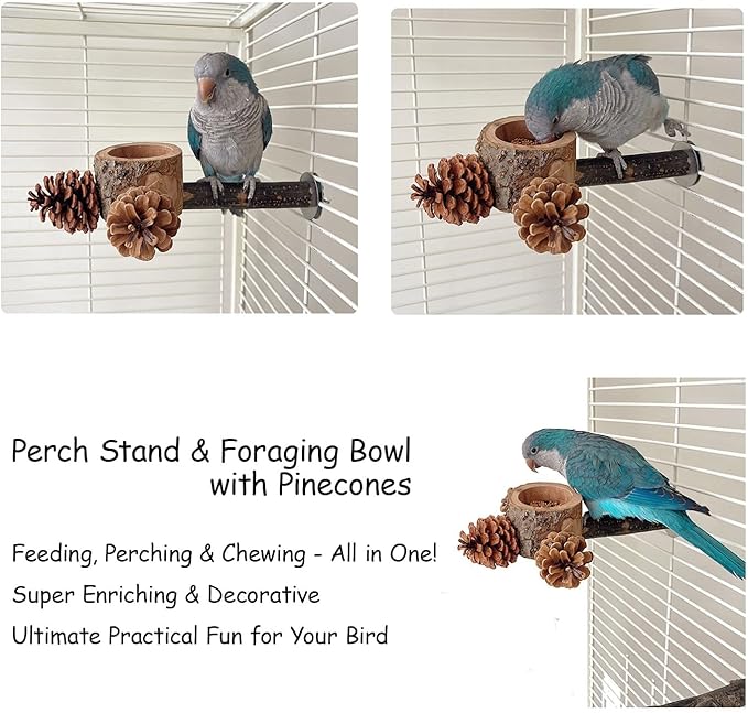 Bird Perch with Feeder for Cage & Chew Toys Pinecones - Image 5