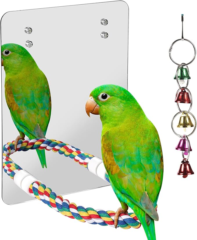 10.6" Bird Mirror with Rope Perch Bird Toys Swing, Comfy Perch by LOPERDEVE