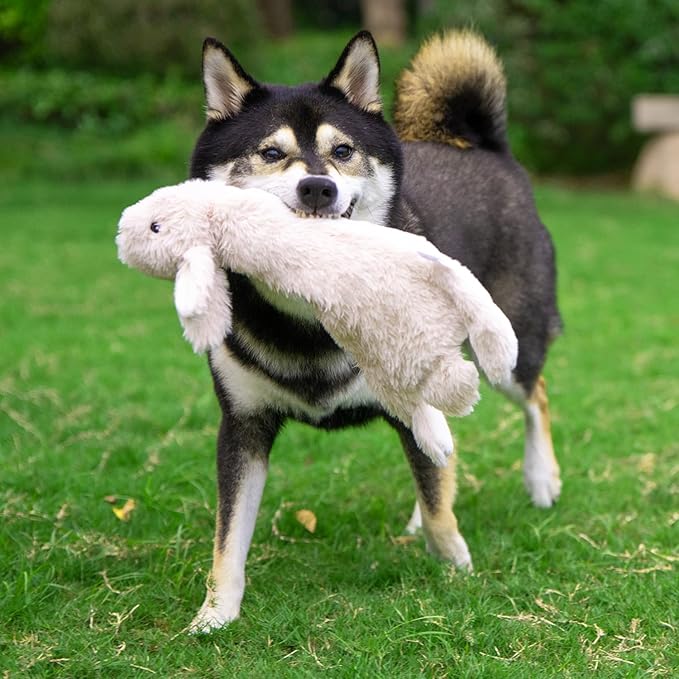 Best Pet Supplies Squeaky Dog Toys - Image 7