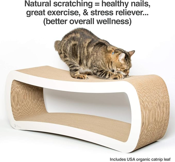 PetFusion Jumbo Cat Scratcher Lounge, and Hide100% Recyclable Cardboard Cat - Image 3