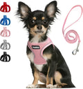 PetiFine Step in Small Dog Harness and Leash Set, Breathable All Weather Air by PetiFine