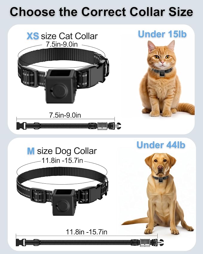 Cat Camera Collar 1080P HD Video Recording Pet POV Cam, NO WiFi NO APP - Image 7