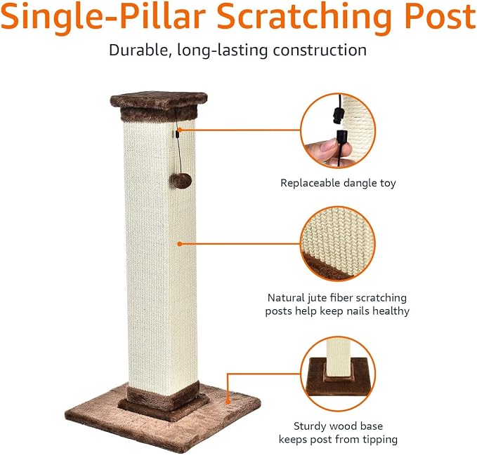 Amazon Basics Sturdy Cat Scratching Post - Image 2