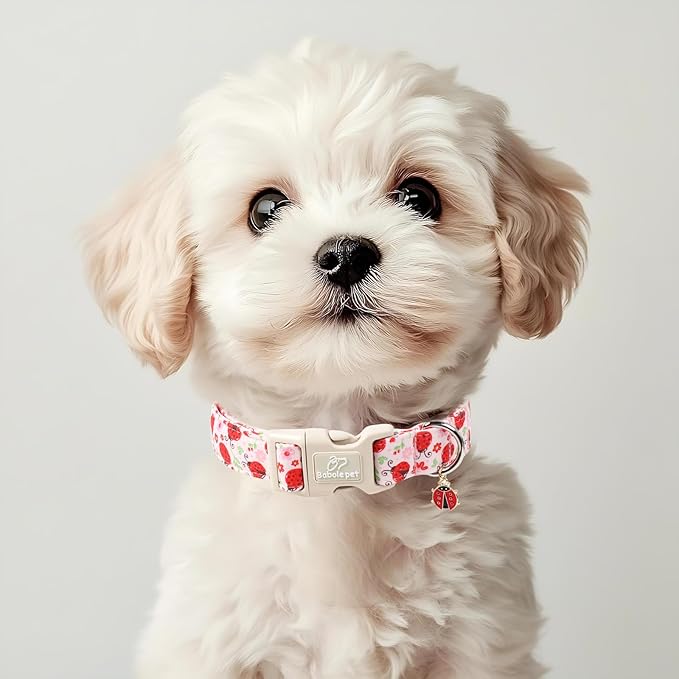 Lucky Ladybug Dog Collar for Small Dogs - Image 5