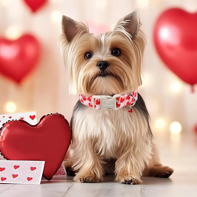 Valentines Dog Collar for Giant Large Dogs - Image 2