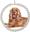 Chunky Pearl Dog Collar Large Breed, Adjustable Dog Necklace, Beaded Dog Collar by MLUOVI