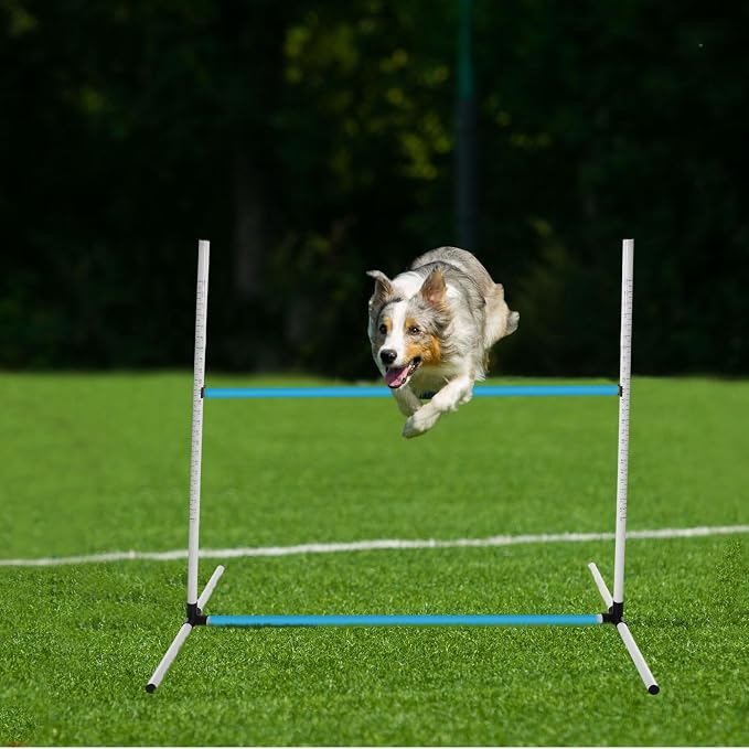 6 Pcs Dog Agility Training Equipments Dog Agility Jumps Hurdles Adjustable - Image 5
