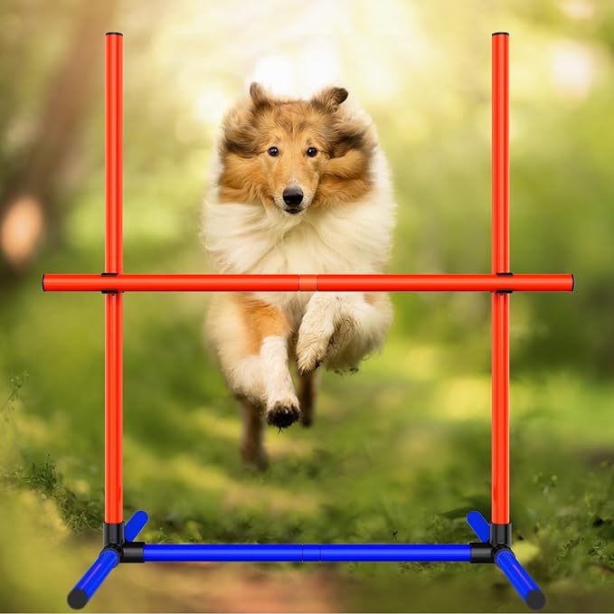 Dog Agility Training Equipment, Dog Obstacle Course Training Starter Kit Pet - Image 7