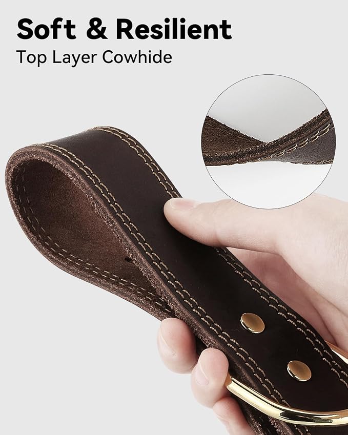 Joytale Leather Dog Collar for Medium Dogs, Genuine Thick Solid Leather - Image 5