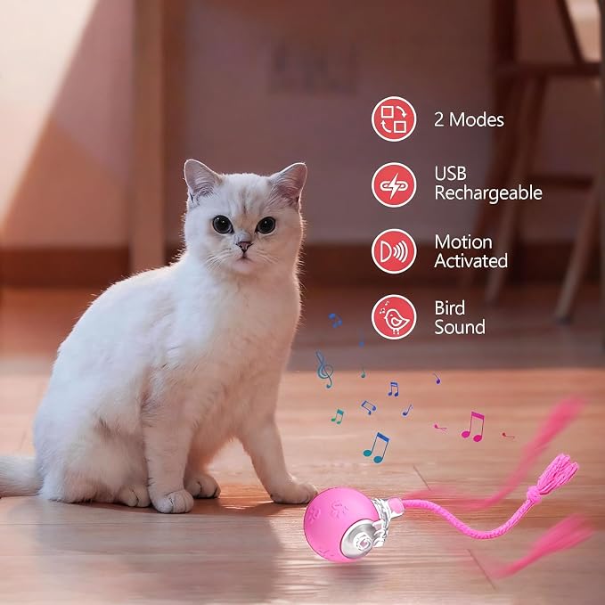 FUNNYDUCK Speed 2.0 Tail Interactive Cat Toy – Motion-Activated Rolling Ball - Image 2