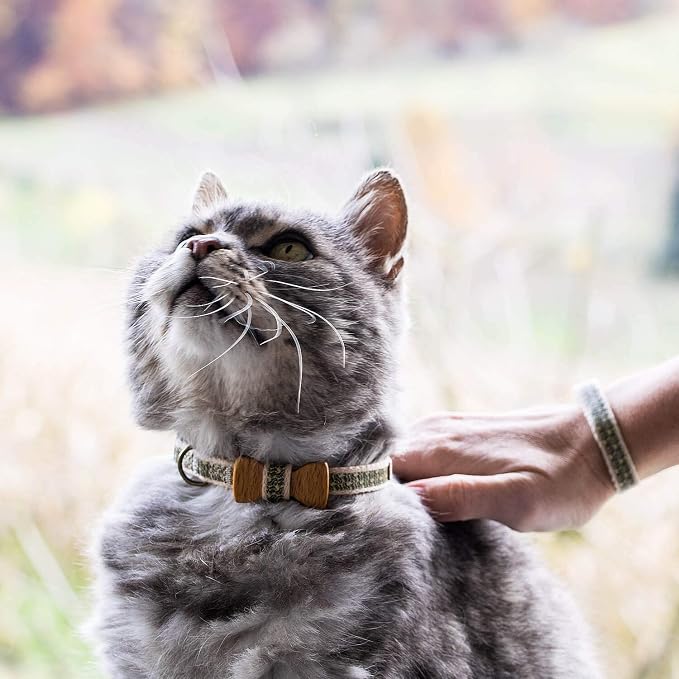 Pettsie Breakaway Cat Collar - Image 4