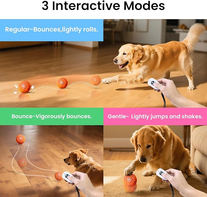 Smart Interactive Dog Ball - Image 5