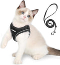 PetiFine Extra Small Step in Dog Harness and Leash Set, Cat Harness and Leash by PetiFine