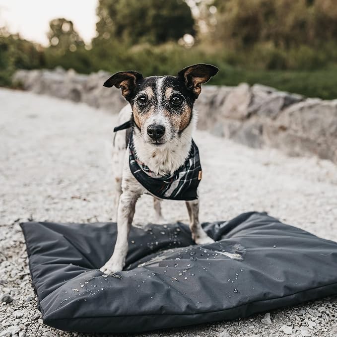 Dog Bed Cover Replacement Washable. 36 "L X 27 "W X 3 "H Washable Removable - Image 7
