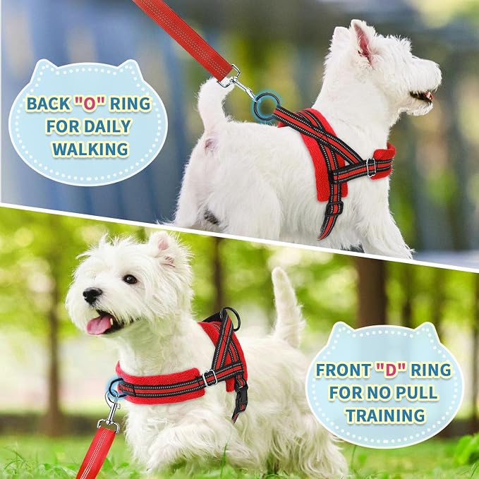 SlowTon No Pull Small Dog Harness and Leash Set, Puppy Soft Vest Harness Neck & - Image 4