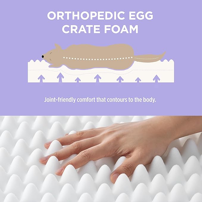 LE SURE Cute Orthopedic Dog Bed Large Sized Dog, Waterproof Chic Flat Pet Beds - Image 4