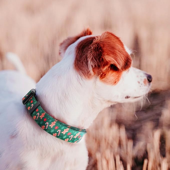 QQPETS Adjustable Soft Dog Collar: Print Flower Pink Multicolor Cute Patterns - Image 2