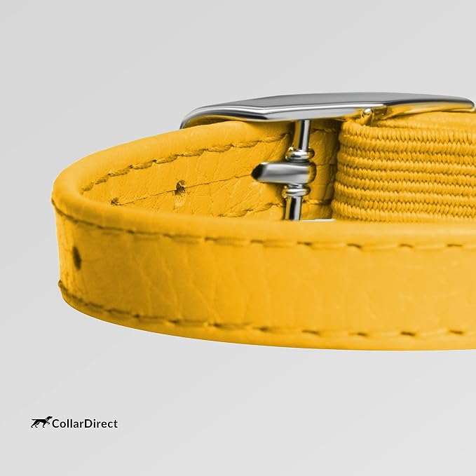 CollarDirect Leather Cat Collar - Image 4