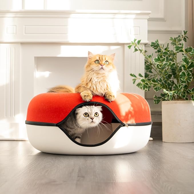 Cattasaurus Peekaboo Cat Cave Donut - Image 8