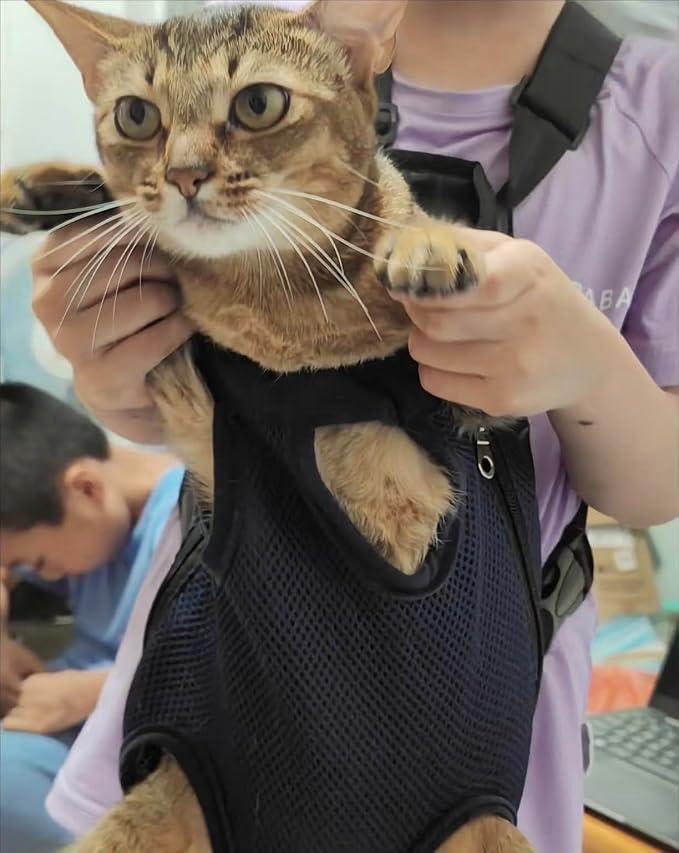 Pet Carrier Backpack - Image 3
