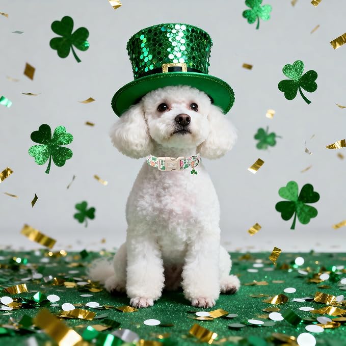 St Patricks Day Dog Collar for Medium Dogs - Image 6
