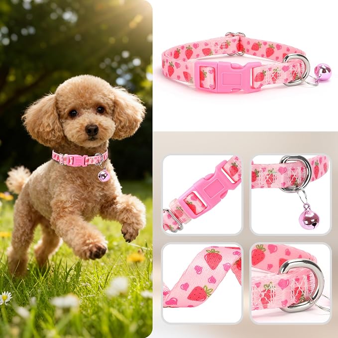 Small Dog Collar with Bell - Image 3