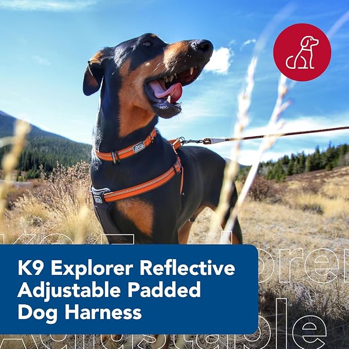 Coastal Pet K9 Explorer Reflective Adjustable Padded Dog Harness - Image 2