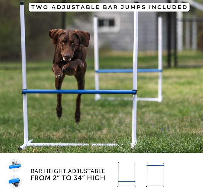 Better Sporting Dogs Agility Course Backyard Set - Image 3