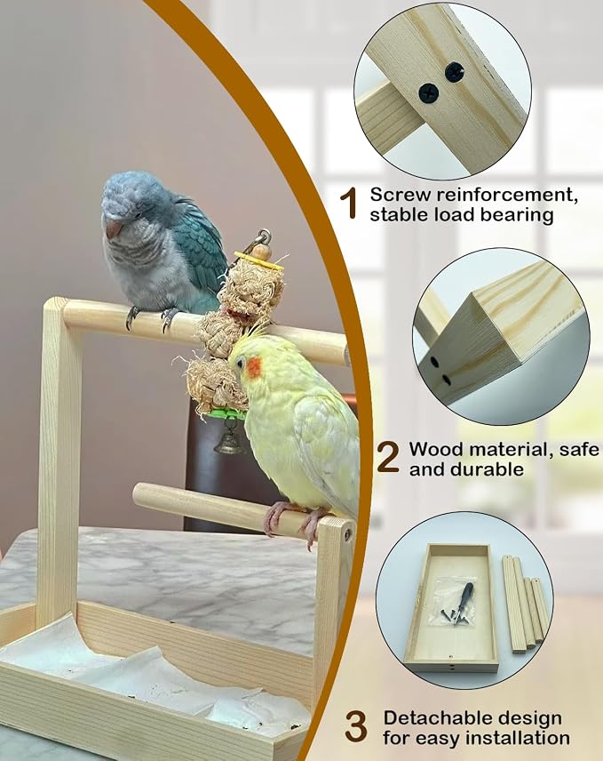 Small Bird Training Stand Portable Tabletop Birds Perch Desktop Platform - Image 4