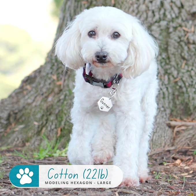 Ultra Joys Dog Tags Personalized - Image 3