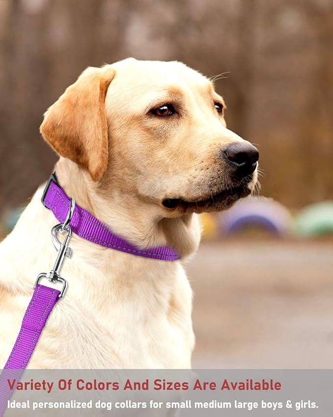 Reflective Dog Collar with Buckle Adjustable Safety Nylon Collars - Image 7