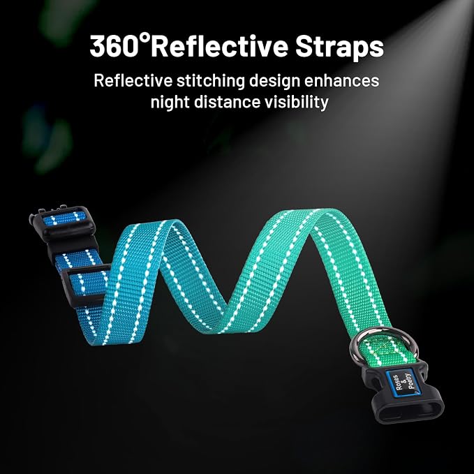 Roses&Poetry Small Dog Collar, Adjustable Personalized Durable Pet Collars - Image 4