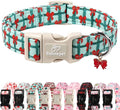 Christmas Dog Collar for Giant Large Dogs by Babolepet