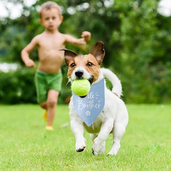 Big Brother Dog Bandana Pregnancy Announcement Gender Reveal Baby Announcement - Image 5