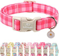 Girl Dog Collar for Small Dogs by Babolepet