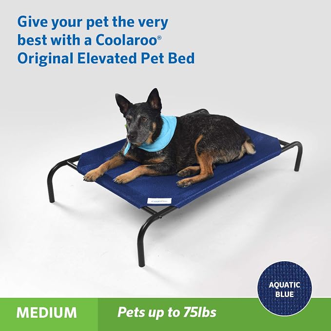 Coolaroo Original Elevated Dog Bed - Image 2