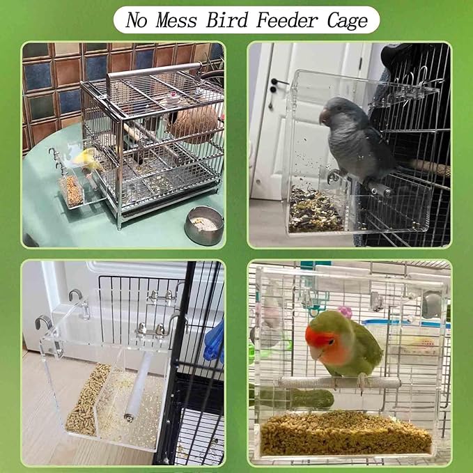 Automatic Acrylic Bird Feeder for Cage, No Mess - Image 5