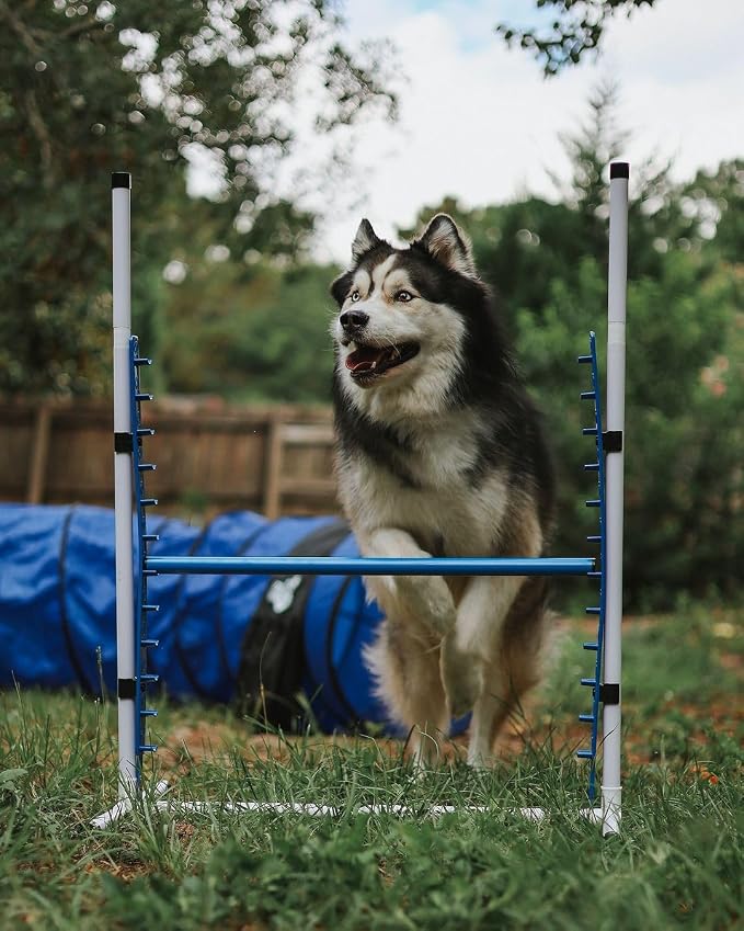 Better Sporting Dogs 4 Pack Adjustable Dog Agility Jumps w/Safety-Focused - Image 5