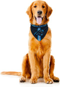 Littlearth NFL Denver Broncos Pet Bandana by Littlearth