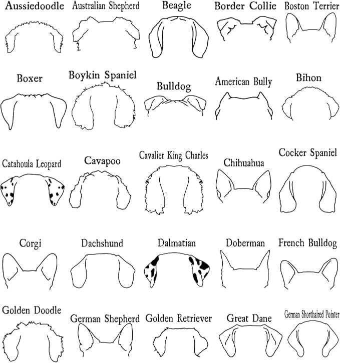 Personalized Embroidered Dog Hoodie, Personalised One-Line Dog Shirt, Unisex - Image 4