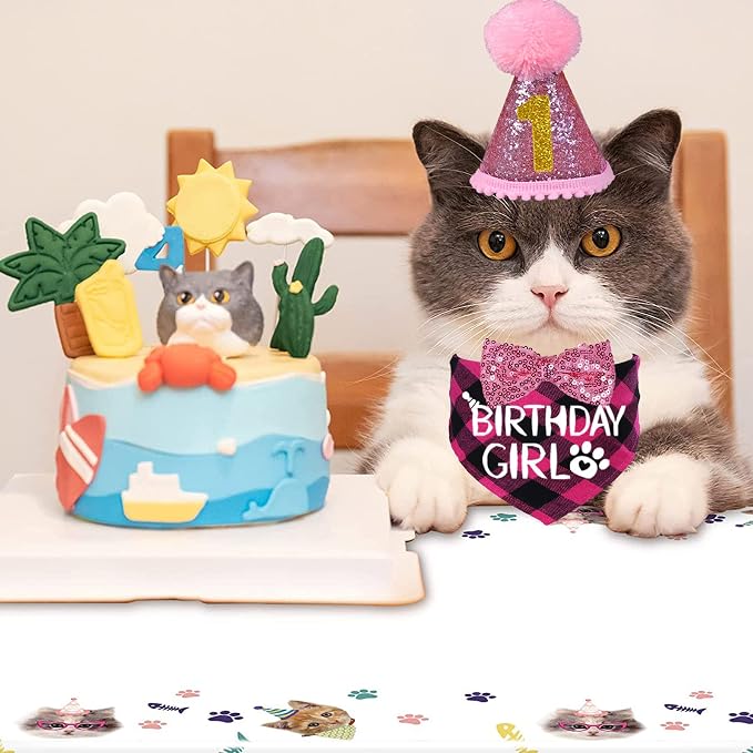 STMK Cat Birthday Decorations, Cat Birthday Hat - Image 7