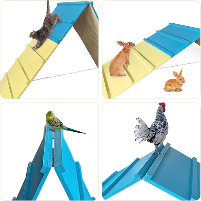 Dog Agility Equipment for Small & Medium Dogs, Puppy Agility Course Backyard - Image 6