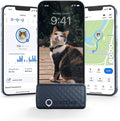 Tractive Smart Cat GPS Tracker | Real-Time Location & Wellness Monitoring by Tractive