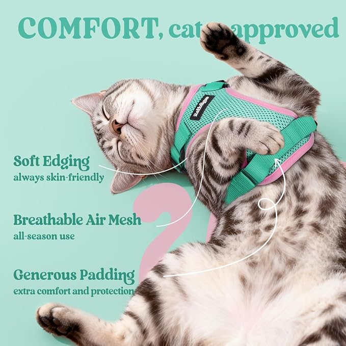 rabbitgoo Cat Harness and Leash - Image 4