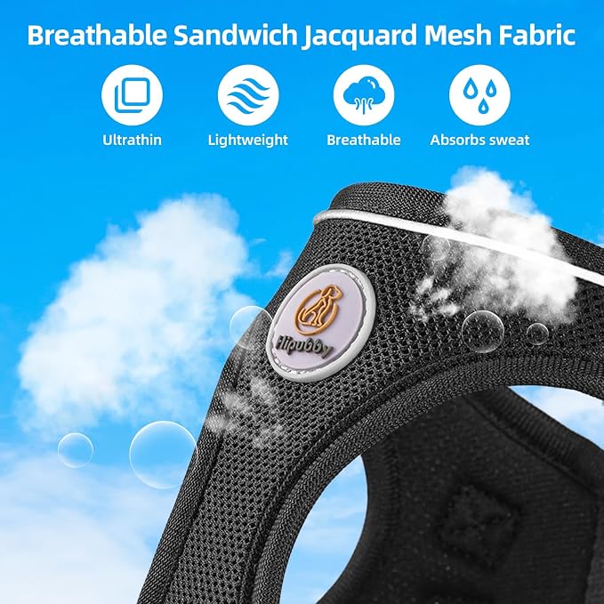 Hipubby Dog Harness and Leash Set, No Pull Soft Mesh Puppy Harness - Image 4