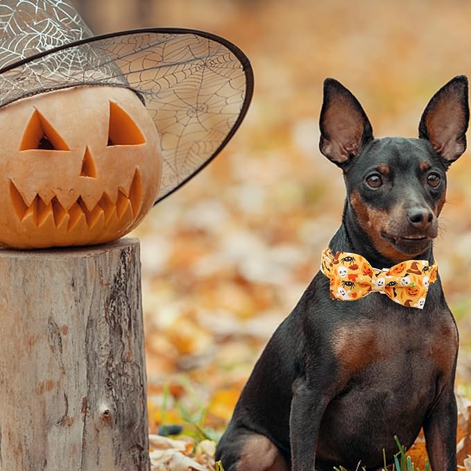 Halloween Dog Collar, Pet Collar Bow Fall Puppy Collar Girl Boy Holiday Collars - Image 6