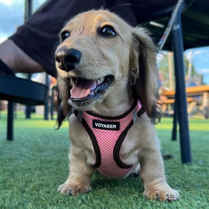 Best Pet Supplies Voyager Step-in Air Harness - Image 6